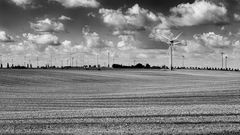 Linien_Wind _Wolken