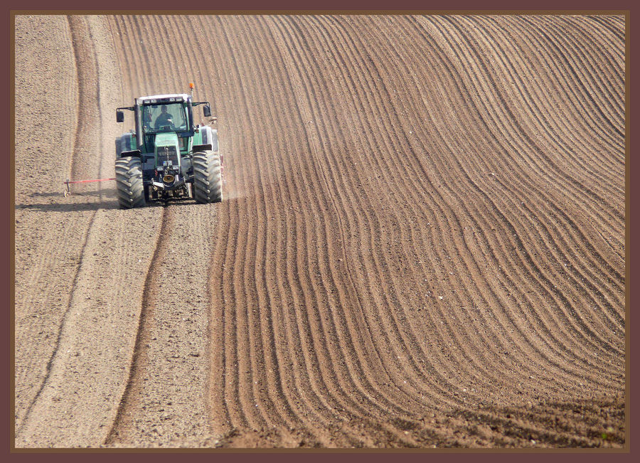 Linienzieher bei der Arbeit