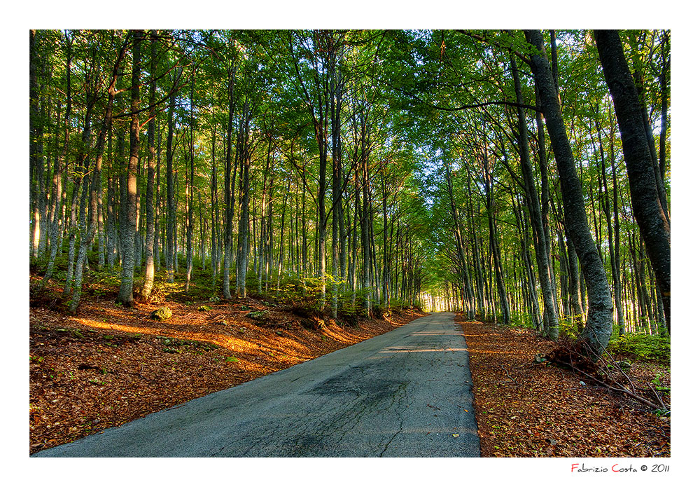 L'inizio dell'autunno