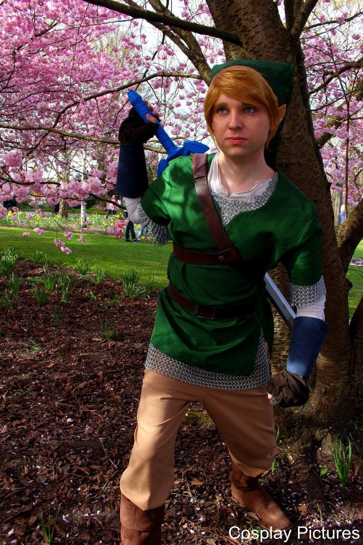 Link auf der Hanami