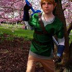 Link auf der Hanami