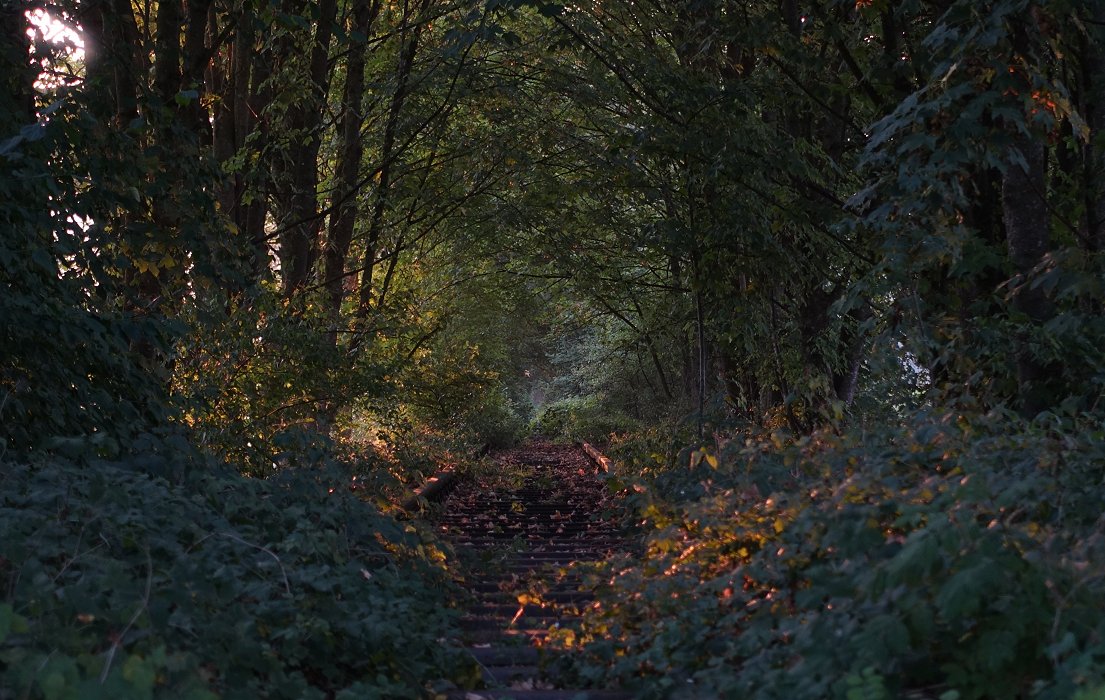 Linker Lichtdurchbruch