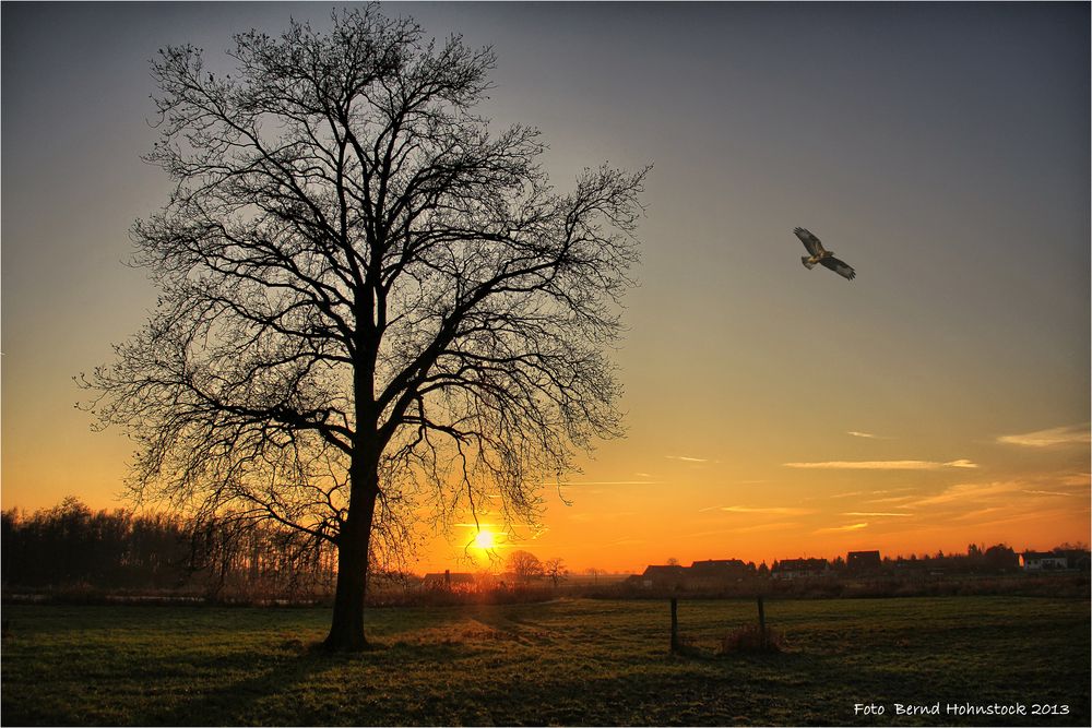 linker Niederrhein .....  (NMSM)