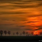 linker Niederrhein und seine Lichtstimmungen ...