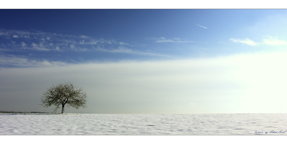 Links Baum - Rechts Sonne!