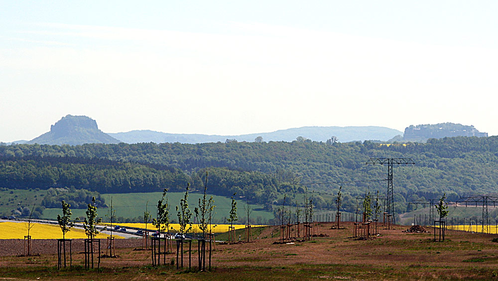 Links der Lilienstein und rechts der Königstein mit der Festung