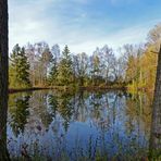 Links ein Baum, rechts ein Baum...