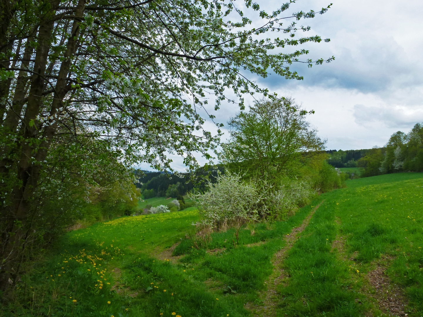 links gehts hinunter in unser Dorf