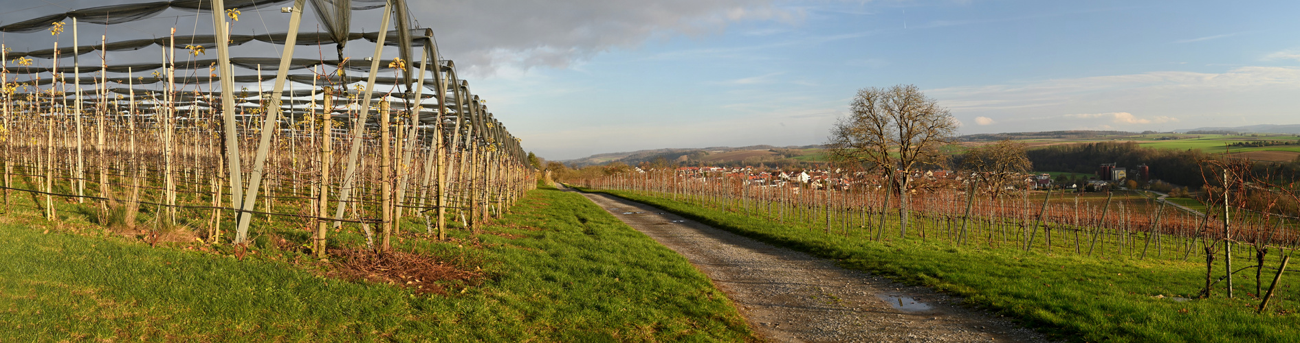 links Obstbau rechts Weinbau