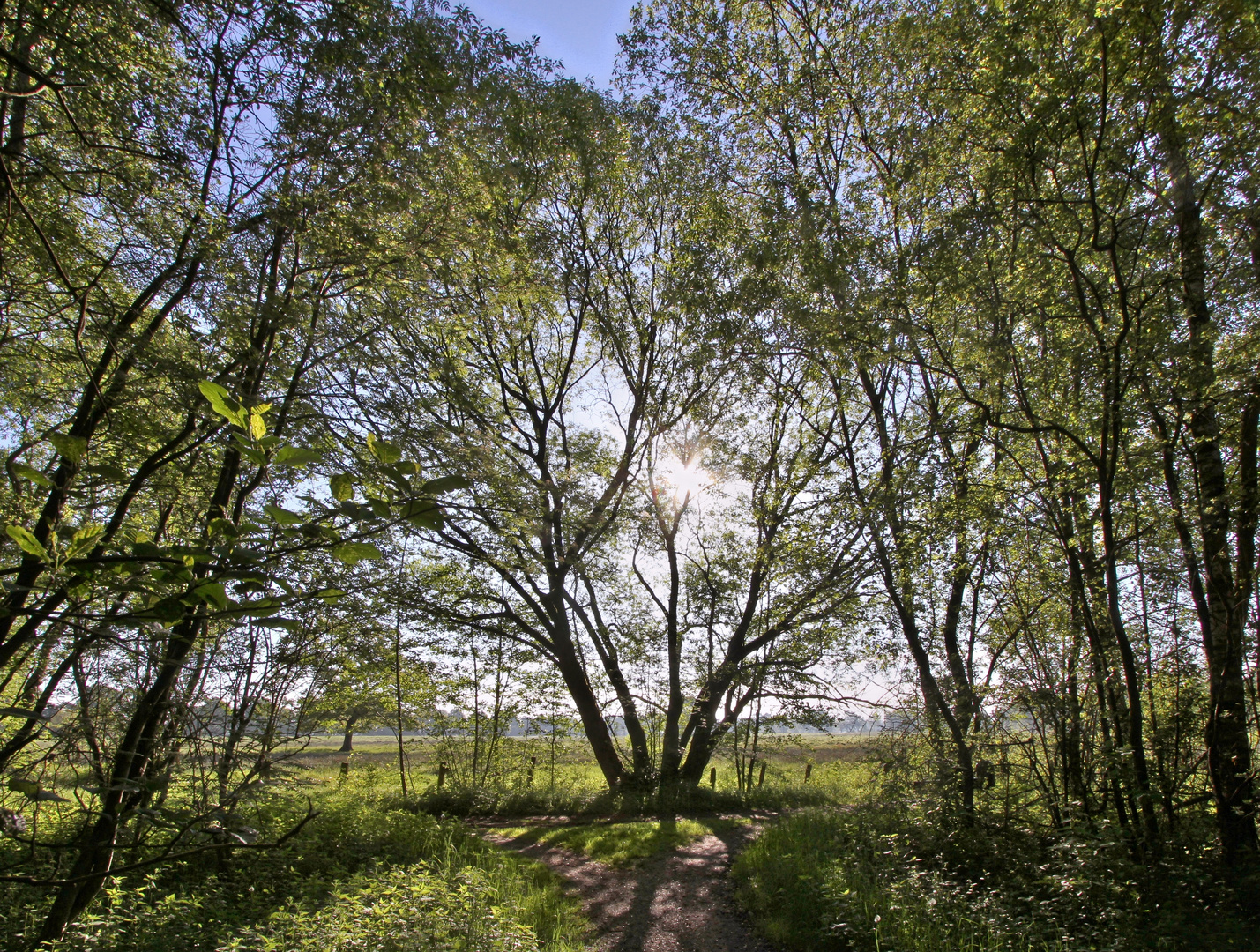 links oder rechts  -  to the left or the right