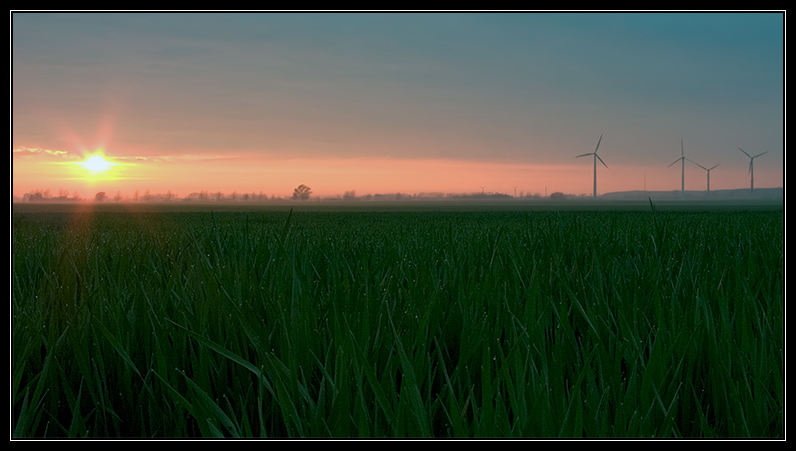 links Sonne - rechts Windräder