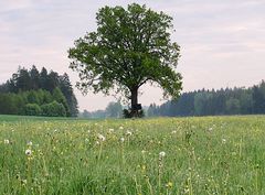 Links und rechts der Bahn I