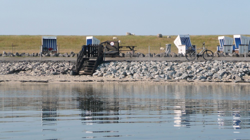 Links vorne neben dem Strandkorb 271 ist das Nest der Austernfischer