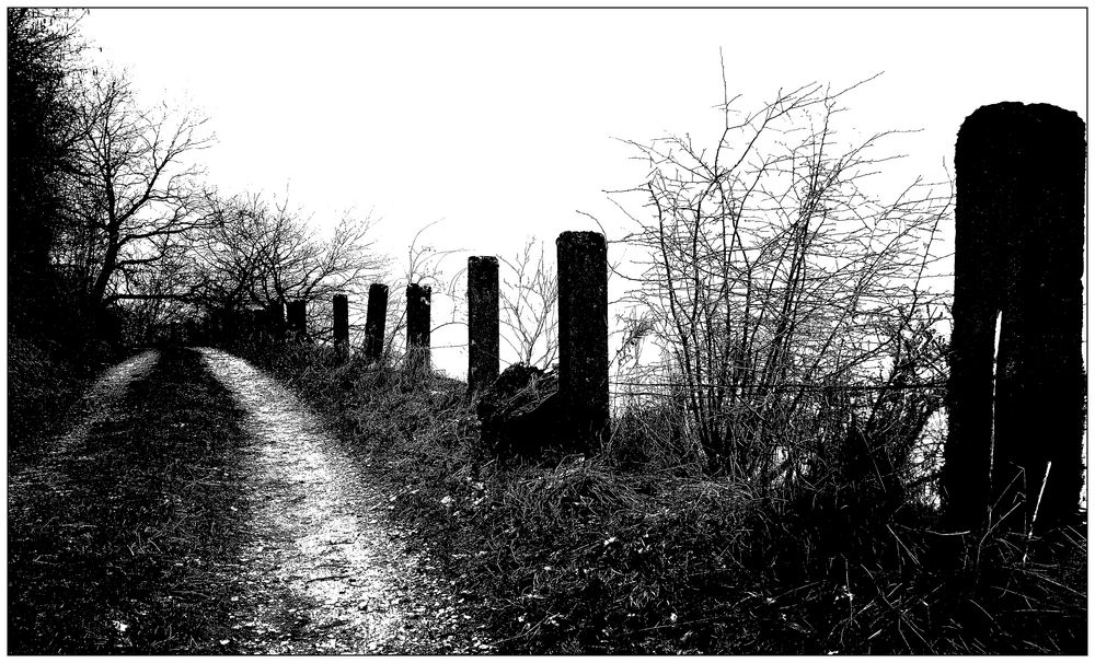 Links Wald, rechts Bahn, Mitte...Aubach Feldweg