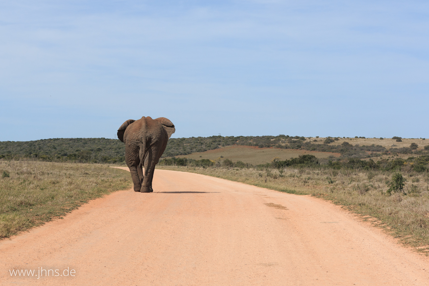 Linksverkehr im Addo Elephant Park