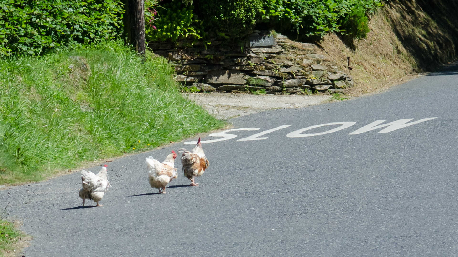 LINKSVERKEHR in Cornwall