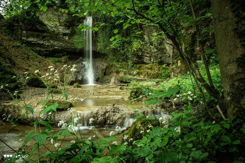 Linnbachfall