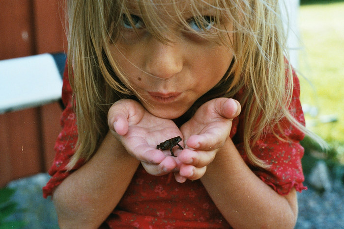 Linnéa küsst Frosch