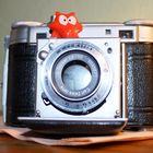 User Profile Photo
