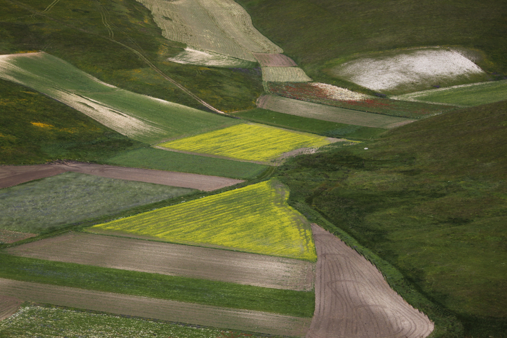 Linsenfelder in Castelluccio