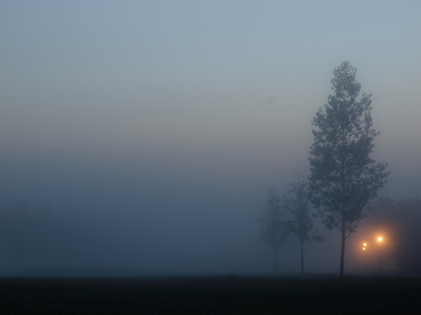 Linstow im Nebel