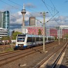 Lint 41-Doppel in Düsseldorf-Hamm