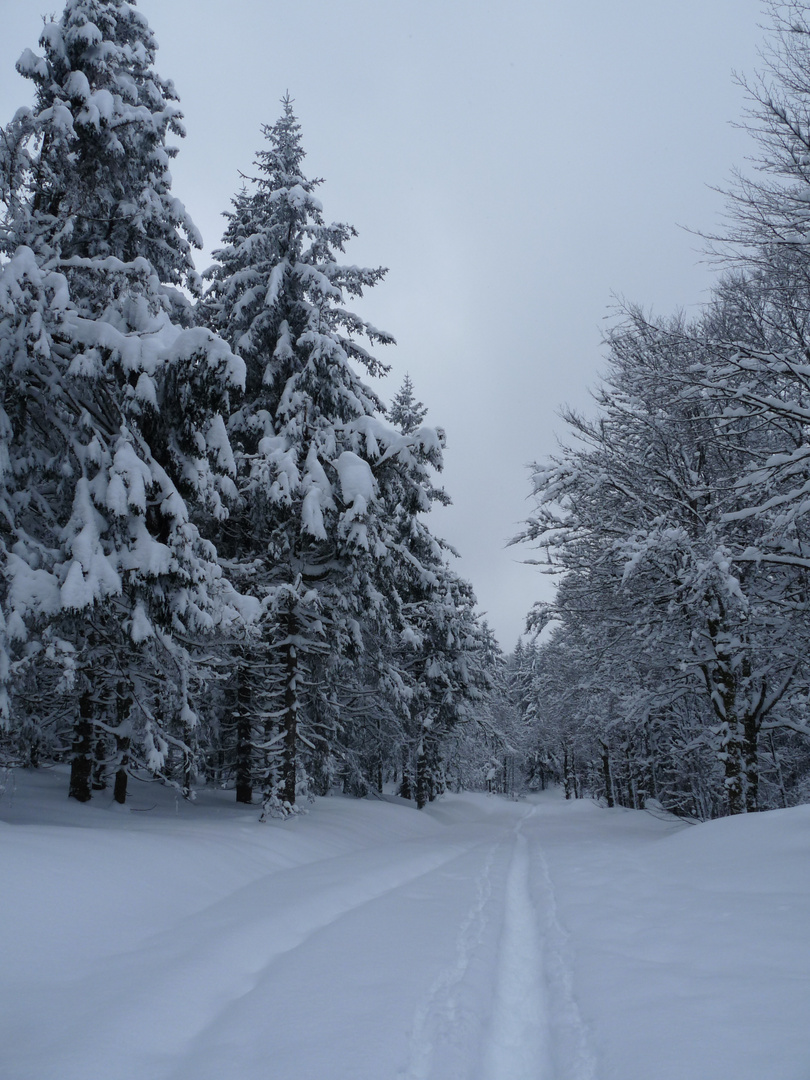 L'interminable hiver, mais bel hiver........