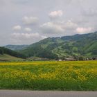 Linthebene "im Hintergrund Kaltbrunn"