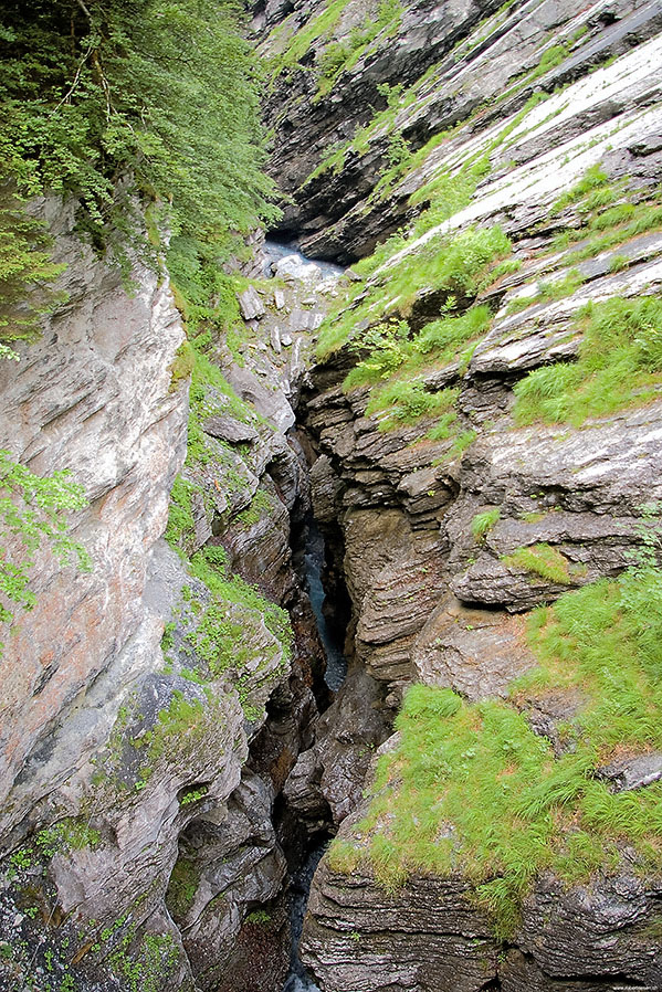 Linthschlucht II