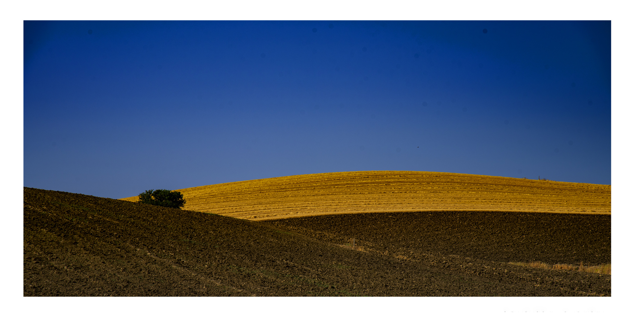 L'INTRUSO