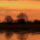 Linum bei Sonnenaufgang