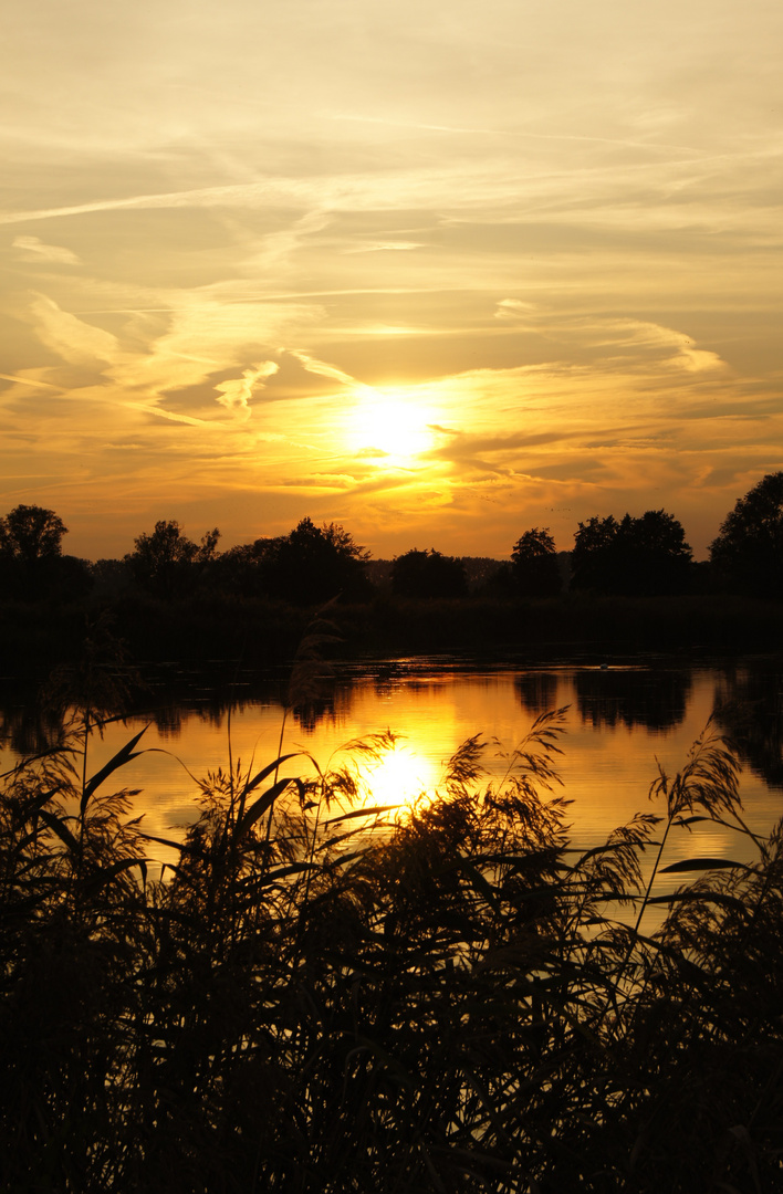 Linumer Bruch am Fischteich