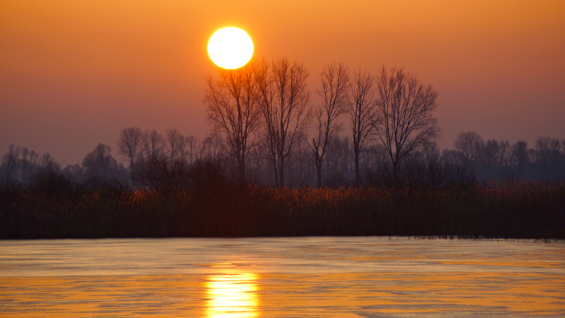 Linumer Teiche Sonnenaufgang im Winter Foto & Bild bäume