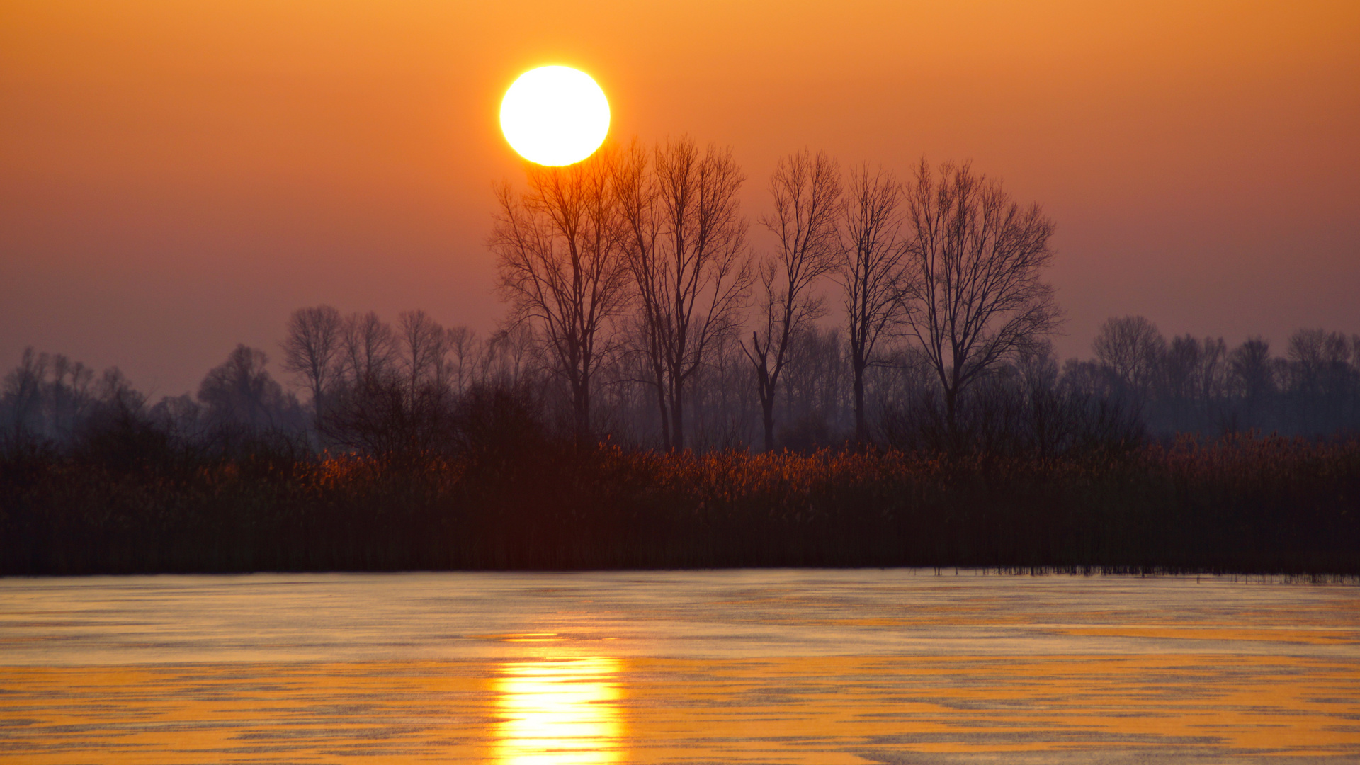 Linumer Teiche - Sonnenaufgang im Winter