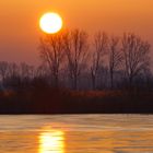 Linumer Teiche - Sonnenaufgang im Winter