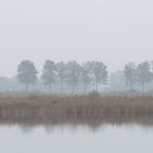 Linum_See-Stille