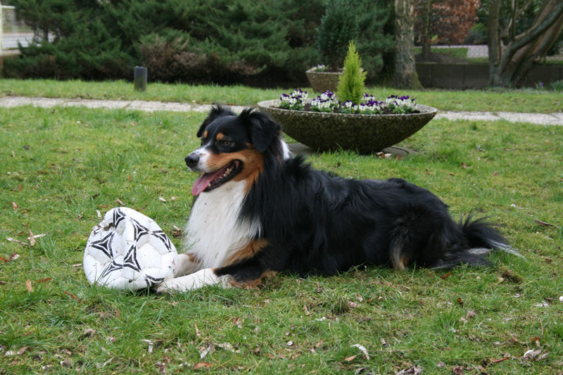 Linus und sein Fußball im Garten