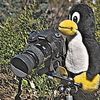 linux-fotograf