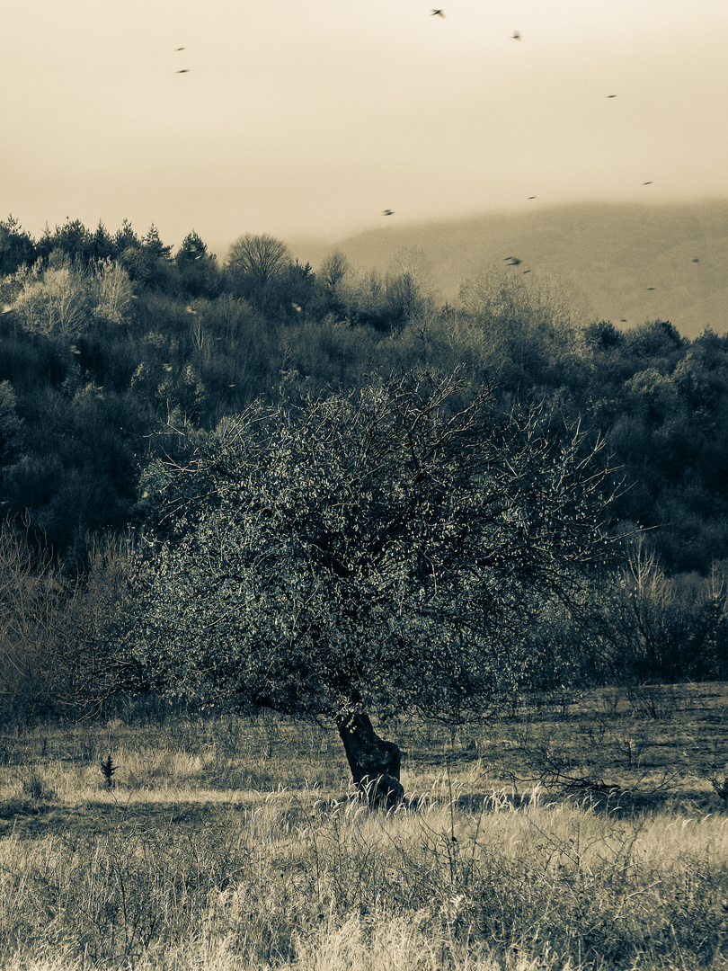 l'inverno è vicino