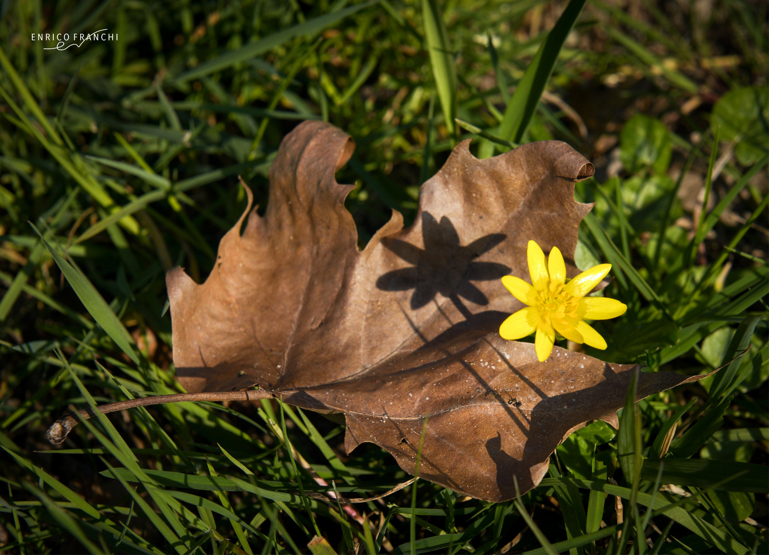 l'Inverno lascia il posto alla Primavera