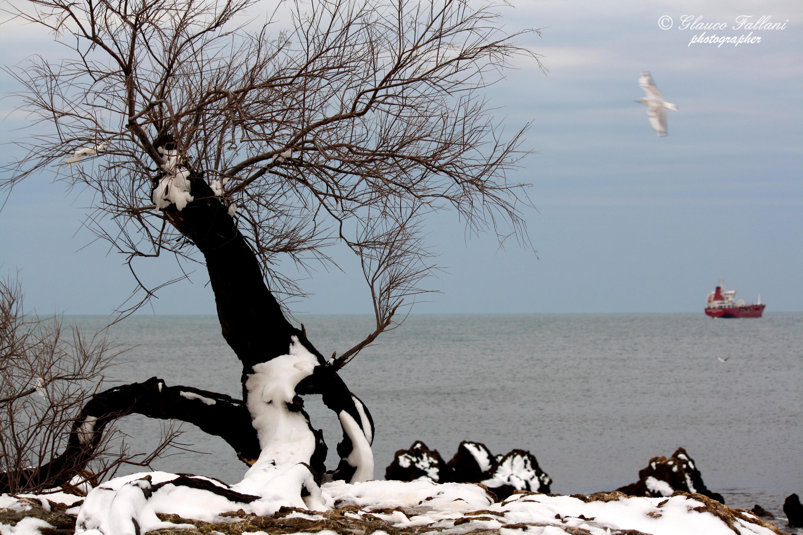 L'inverno sul mare