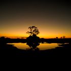 Linyanti, Chobe National Park