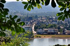 Linz am Rhein, Blick vom Kaiserberg III