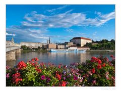 Linz im Abendlicht