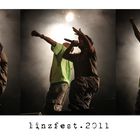 * linzfest 2011