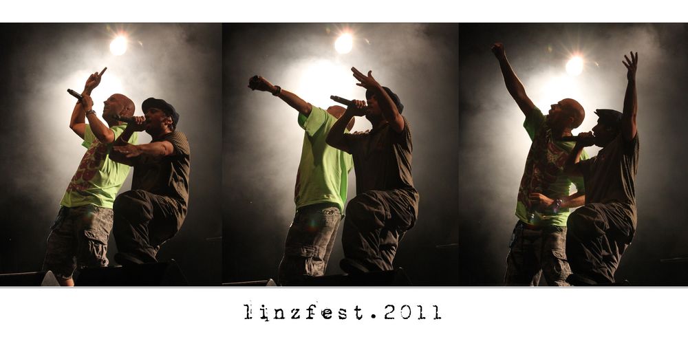 * linzfest 2011