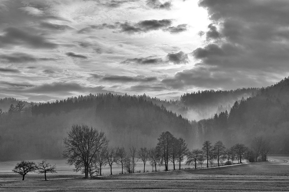 Linzgau