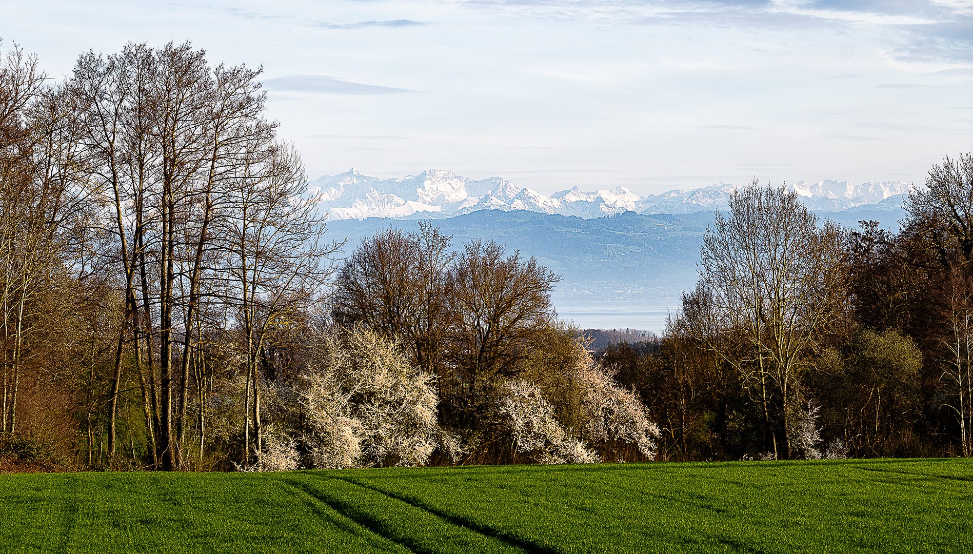 Linzgau