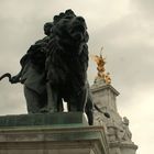 Lion in buckingham palace