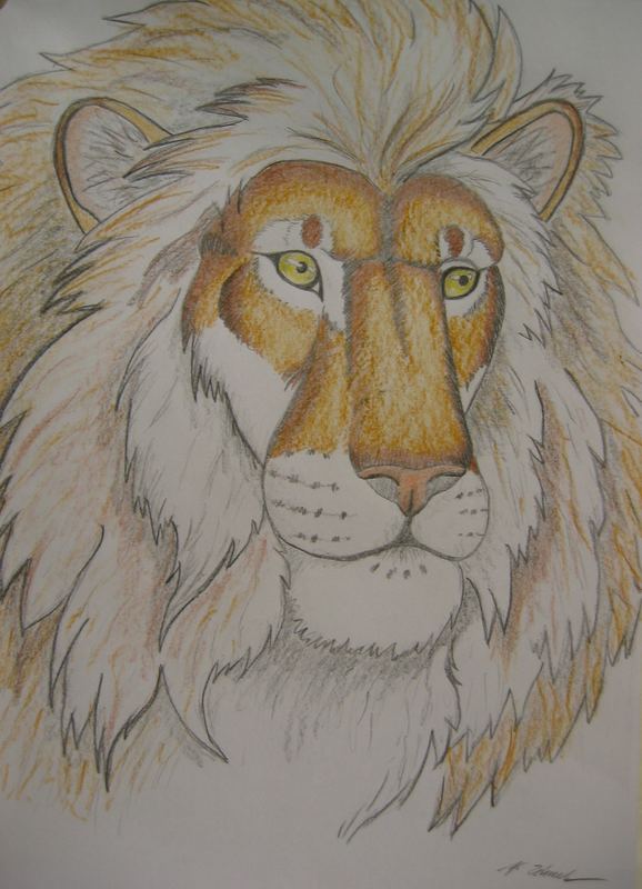 lion in color